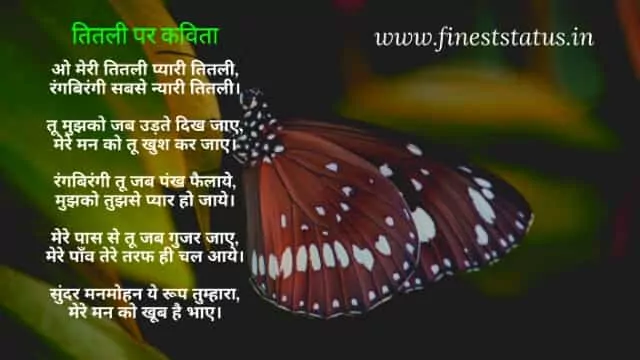 Poem on butterfly in hindi titli kavita