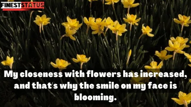 Flower captions for Instagram